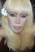 Milano Trans Nicole Vip Venturiny 353 35 38 868 foto selfie 120