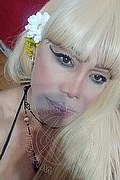 Milano Trans Nicole Vip Venturiny 353 35 38 868 foto selfie 116