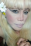 Milano Trans Nicole Vip Venturiny 353 35 38 868 foto selfie 106