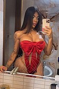 Roma Trans Milena Miranda 388 63 10 811 foto selfie 3