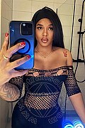 Milano Trans Donna Bella 334 71 17 293 foto selfie 3