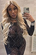Padova Trans Campbell 393 33 57 541 foto selfie 14