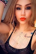 Milano Trans Rebecca Isabell 375 81 15 434 foto selfie 62