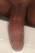 Atene Trans Angeles Cid  0034627345057 foto selfie 13