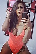 Milano Trans Nicolly Hilton 392 33 27 327 foto selfie 2