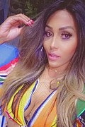 Milano Trans Nicolly Hilton 392 33 27 327 foto selfie 1