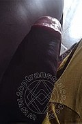 Milano Trans Virna La Super Dotata 349 43 93 969 foto selfie 6