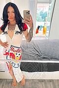  Trans Jj La Numero Uno 351 45 55 713 foto selfie 30