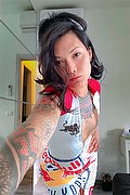  Trans Jj La Numero Uno 351 45 55 713 foto selfie 29