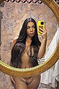 Milano Trans Al�cia Lins 324 78 27 663 foto selfie 4