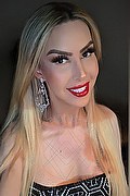 Legnano Trans Mina 320 86 85 055 foto selfie 5