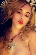 Ponte Chiasso Trans Giseli Dion 328 53 60 166 foto selfie 5