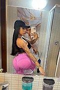 Milano Trans Milena Miranda 388 63 10 811 foto selfie 2