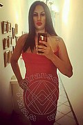 Genova Trans Miranda Pinocchio Pornostar 329 44 49 590 foto selfie 2