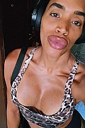 Milano Trans Ambra Sexy 333 92 51 428 foto selfie 6