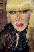 Milano Trans Nicole Vip Venturiny 353 35 38 868 foto selfie 18