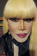 Milano Trans Nicole Vip Venturiny 353 35 38 868 foto selfie 14