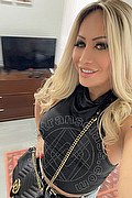 Prato Trans Marcella Ferrari 351 40 94 172 foto selfie 1
