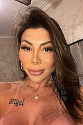 Verona Trans Gabriela Lemos 393 25 98 874 foto selfie 1