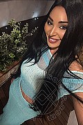 Civitanova Marche Trans Jennifer Anguria Pornostar 349 93 98 298 foto selfie 62