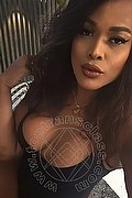 Milano Trans Viviane D'Oro 352 01 66 989 foto selfie 10