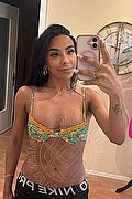Sanremo Trans Vivy Noronha 333 18 67 209 foto selfie 1