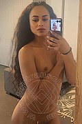 Bologna Trans Victoria New 339 43 37 857 foto selfie 11