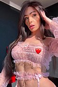 Bologna Trans Fernanda Ambrosio 327 78 03 350 foto selfie 1